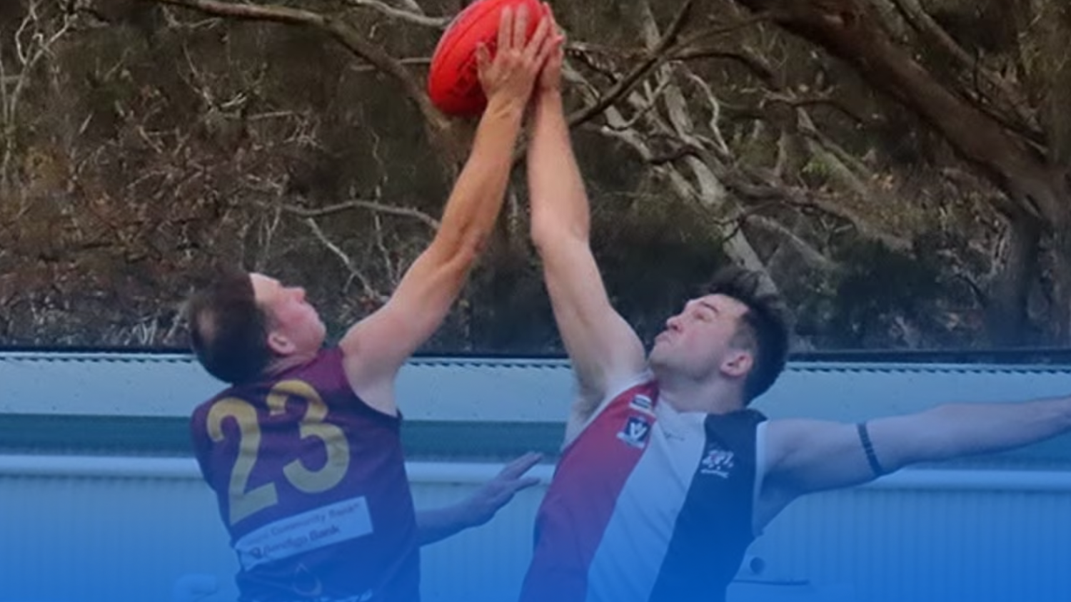Branxholme Wallacedale Football Netball Club